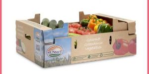 Vegetable Corrugated Box