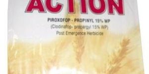 Action Domestic Herbicide