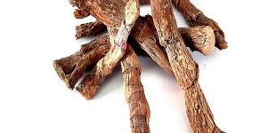 Acorus Calamus Extract