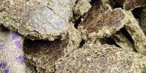 Cotton Seed Oil Cake