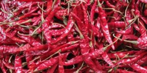 Teja Dried Red Chilli