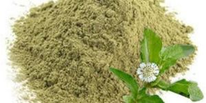 Bhringraj Powder