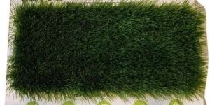 Artificial Grass