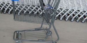 Stainless Steel Shopping Trolley