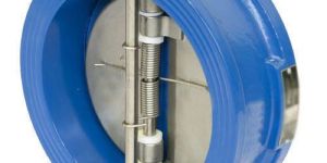 Dual Plate Check Valve