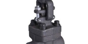 Forged Steel Gate Valve