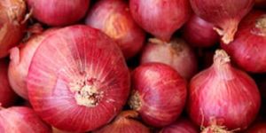 Red Onion