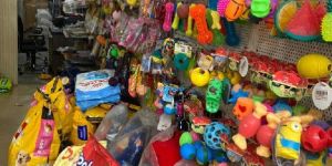Pet Toys
