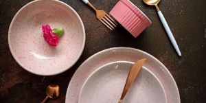 Ceramic Dinner Plates