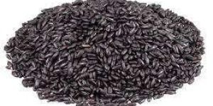 Black Rice