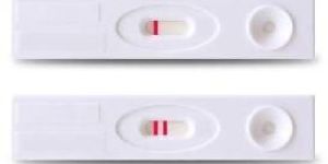 Pregnancy HCG Detection Test Kit