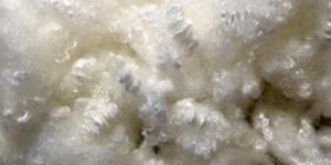 Hollow Conjugated Fiber