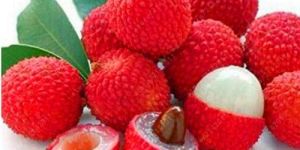 Fresh Litchi