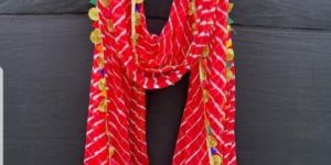 BBD-110 Kota Doria Dupatta