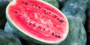 FA Aruna 0035 Watermelon Seeds