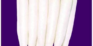 Imported Hong Kong Radish Seeds