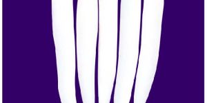 Res Neha Palak Patta Radish Seeds