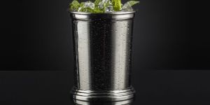 Stainless Steel Julep Cup