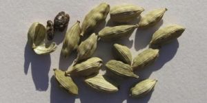 Cardamom