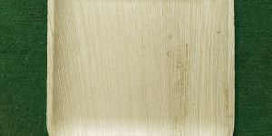 10 Inch Areca Square Leaf Plate