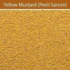 Mustard Seeds