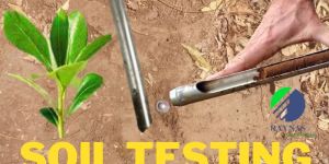 Soil Testing Services