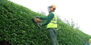 Horticultural Services