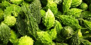 Fresh Baby Bitter Gourd