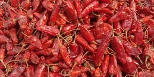 Dried Red Chili
