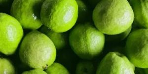 Fresh Guava