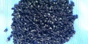 Szechuan Pepper Seeds