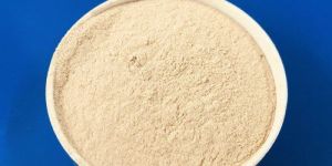 Glucose Oxidase Powder