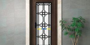 Designer Elevator Door