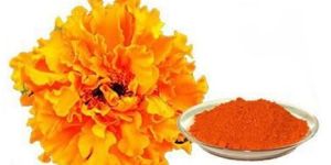 Lutein Powder
