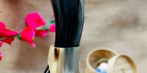 Natural Viking Drinking Horn Set