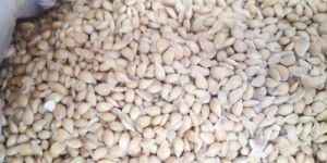 Nimbu Seed
