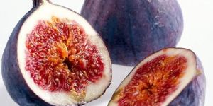 Fresh Fig
