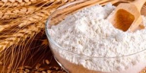 Wheat Flour