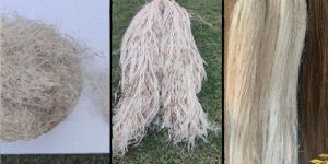 Natural Banana Fiber