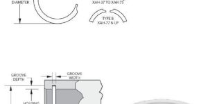 Constant Section Rings