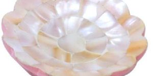 Mother of Pearl Sea Shells