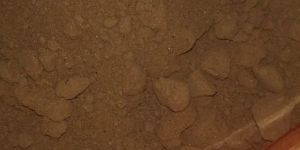 Fish meal powder 45 % protein