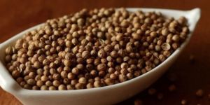 Coriander Seeds