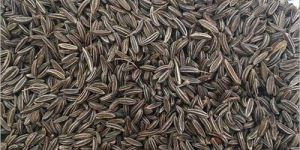 Shahi Cumin Seeds