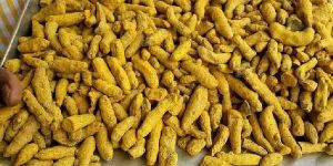 Turmeric Finger