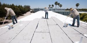 APP Roof Cool Coating Services