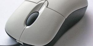 Computer Mouse