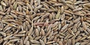 Cumin Seeds