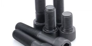 Allen Cap Screw