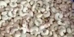 Organic Cashew Nuts